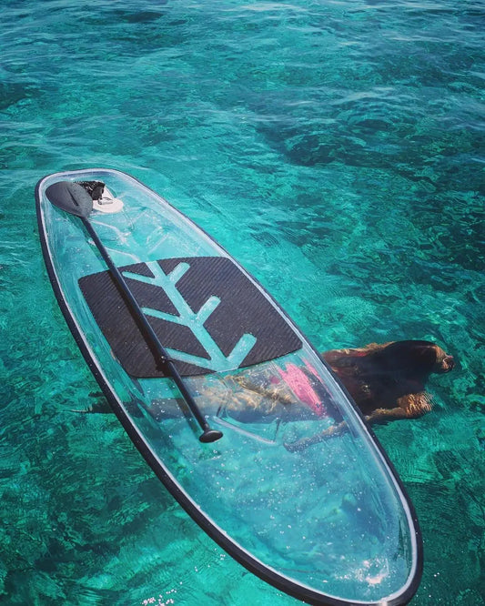 Tabla de surf de cristal transparente, 30KG, 3m